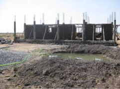 callan_vicente_ferrrer06